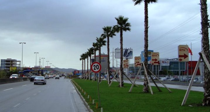 Palmat e autostrades do te zevendesohen me pisha, Bashkia miraton projektin